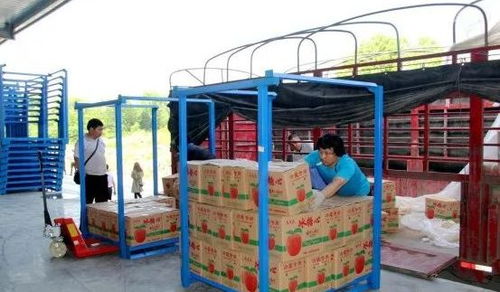 永州嘉信冷鏈倉儲物流中心正式開業，助推區域物流體系升級